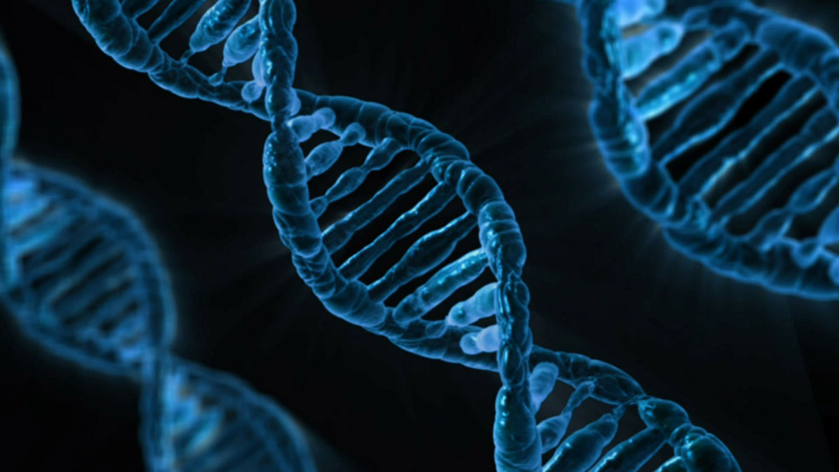 pw_newsletter_dna
