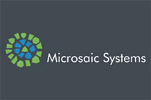 2-microsaic-logo